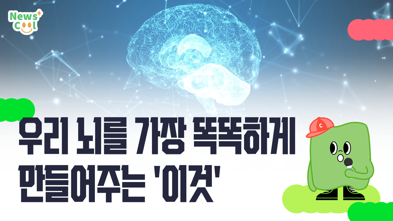 우리 뇌를 가장 똑똑하게 만들어주는 '이것'