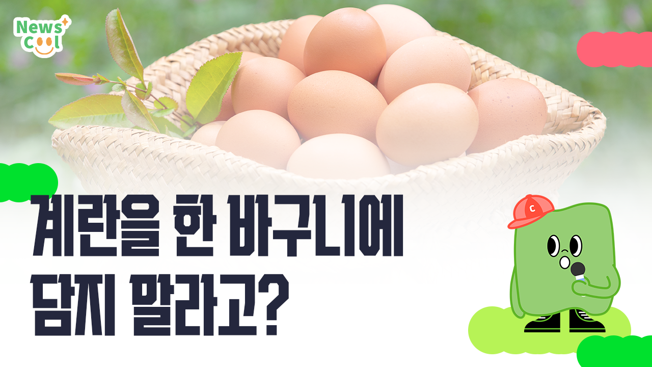 계란을 한 바구니에 담지 말라고?