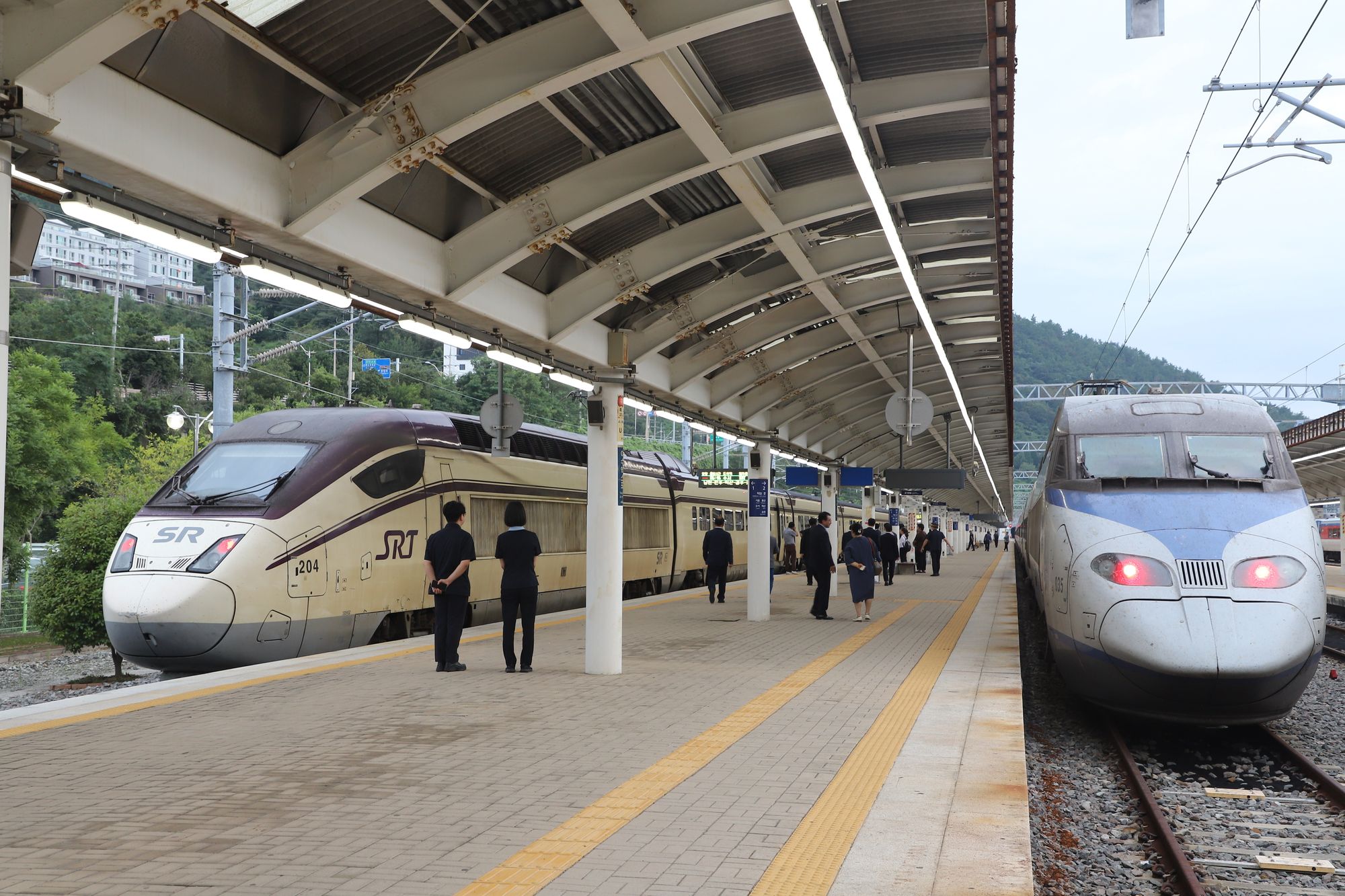 설날이 다가오니, 열차 티켓 예매에 속도를 내세요! 🚄💨