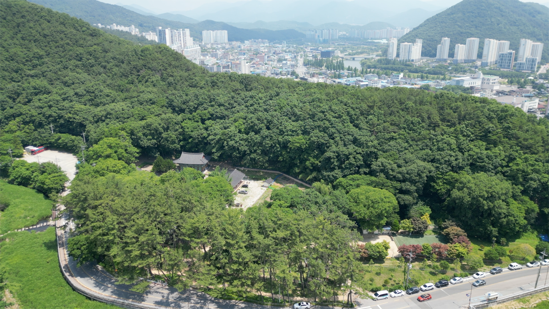 순천의 숨겨진 100년 된 차 밭 발견