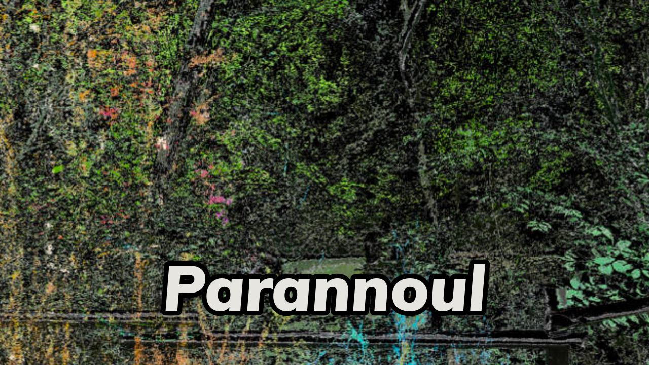 파란노을(Parannoul)과의 대화