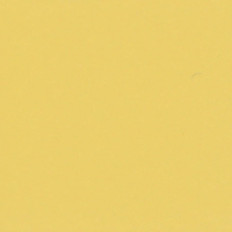Sari Yellow