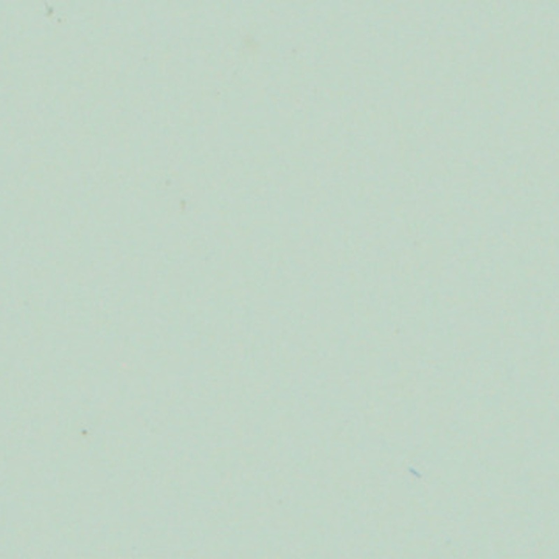 Pale Blue (Blue White)