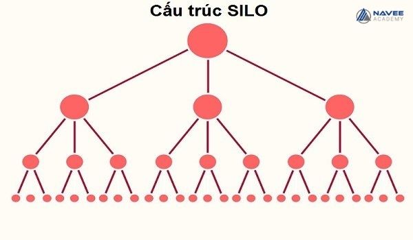 Silo Web Structure là gì?