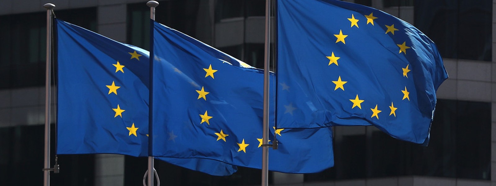 EU calls for peaceful transition