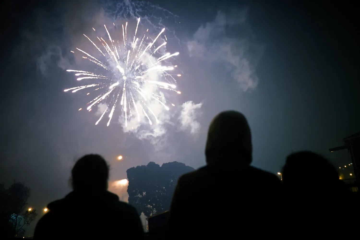 Lyttelton Festival of Light