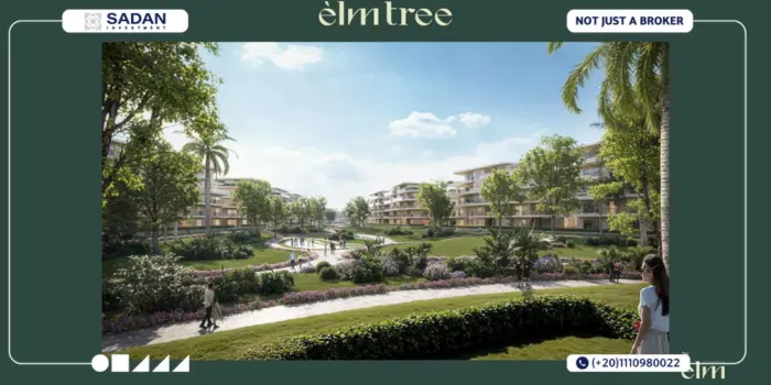 Compound Elm Tree October