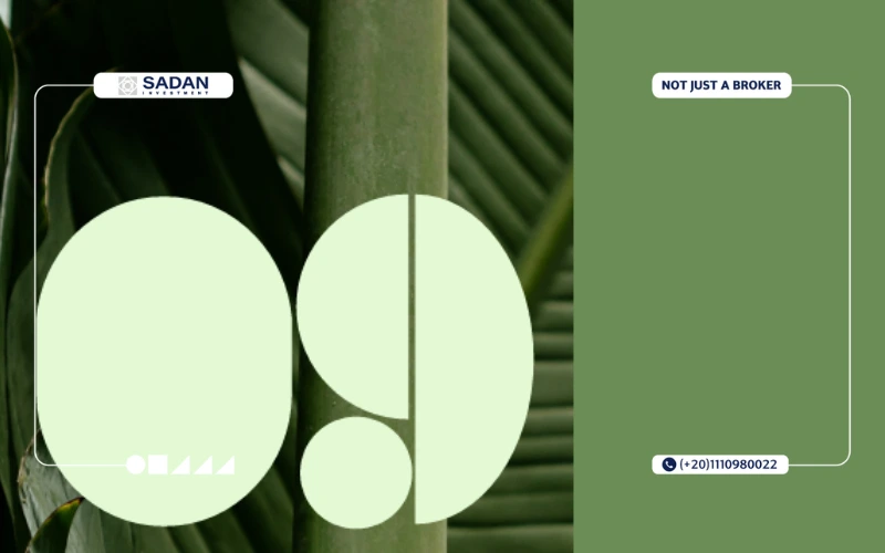 Compound O Nine October