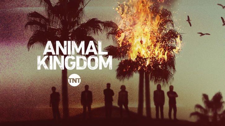 Animal Kingdom - Low Man/Incoming - Double Review