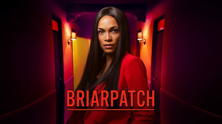 POLL : What did you think of Briarpatch - Season Finale?