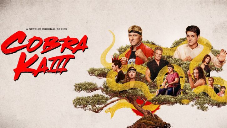 Cobra Kai' Season 5 News, Release Date, Cast, and Spoilers