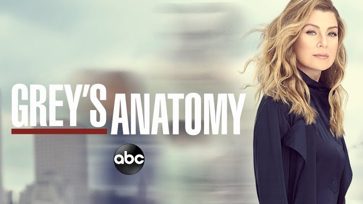 Grey's Anatomy - Season 15 - Newsreel