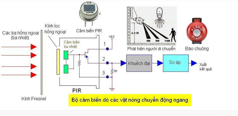 ĐÈN CẢM BIẾN (CHUNG)