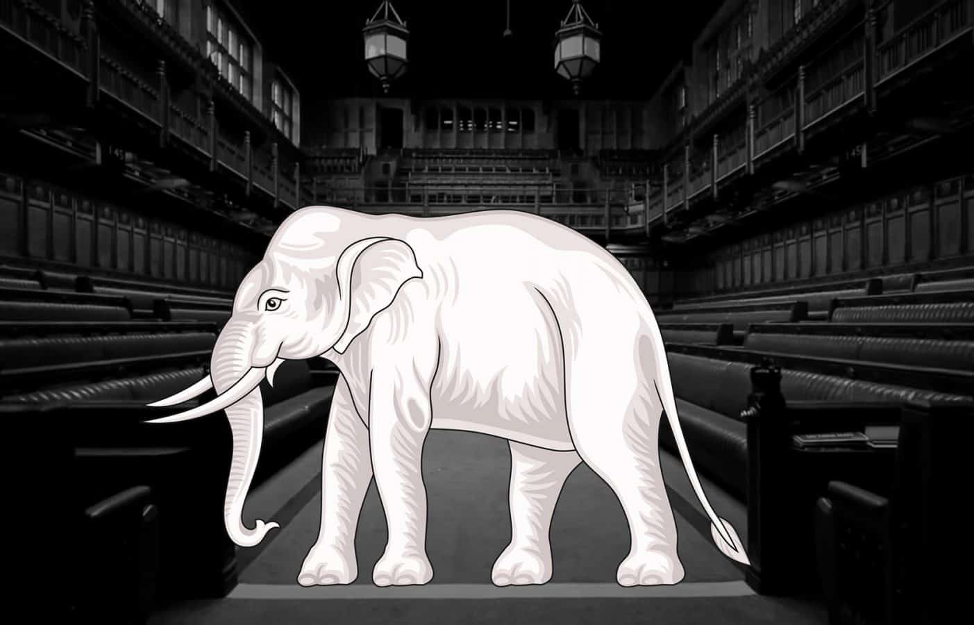 It S Time For May To Face Up To The White Elephant In The Room