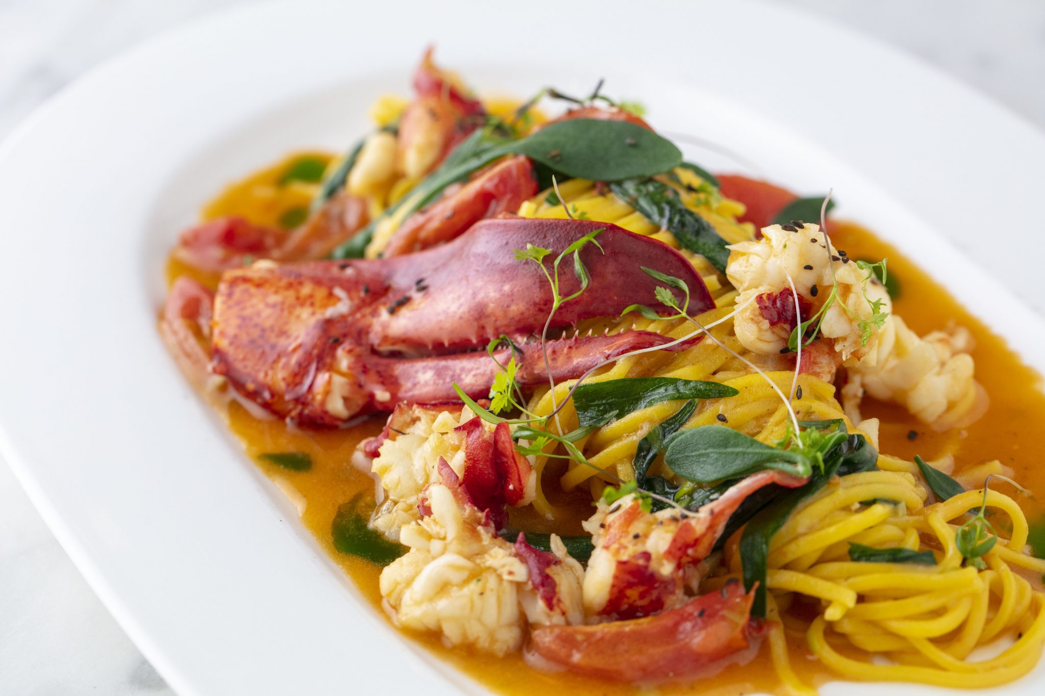 Sartoria lobster tagliolini