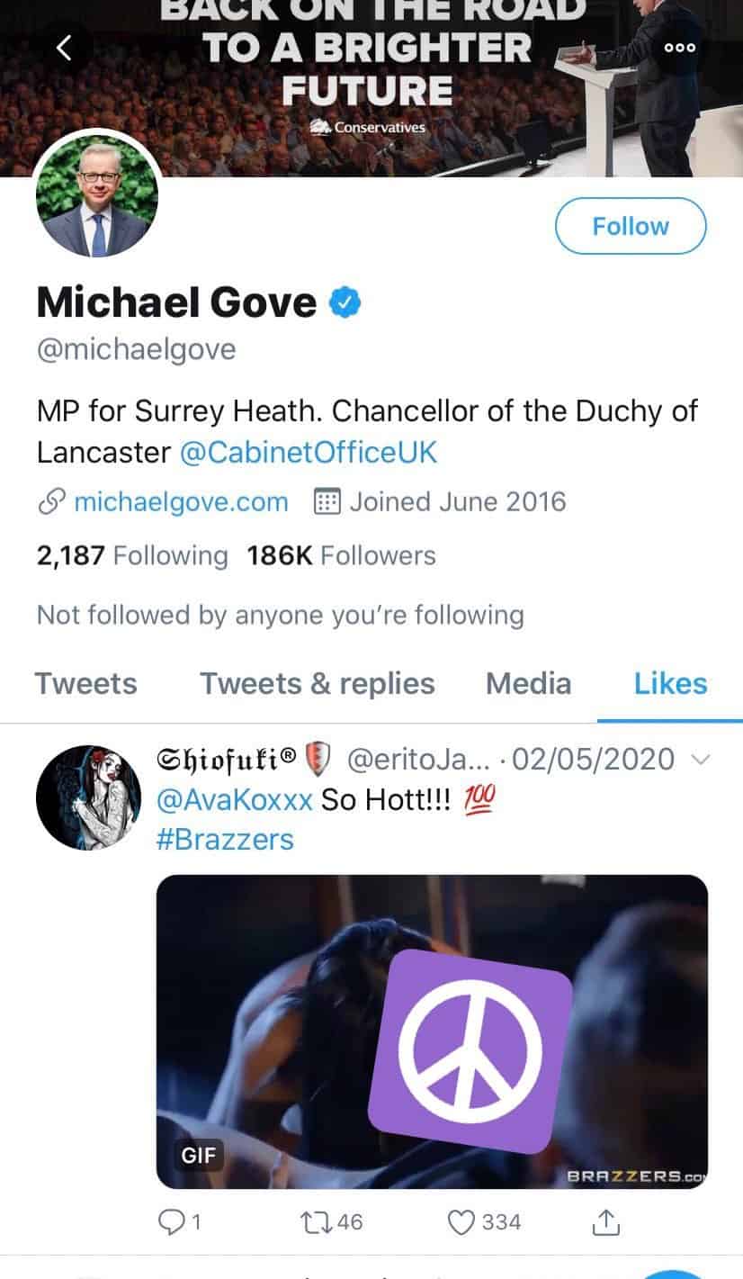 Twitter Porn Accounts - Porn pic appears on Michael Gove's Twitter account