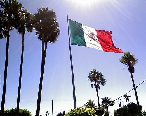 Mexican Flag