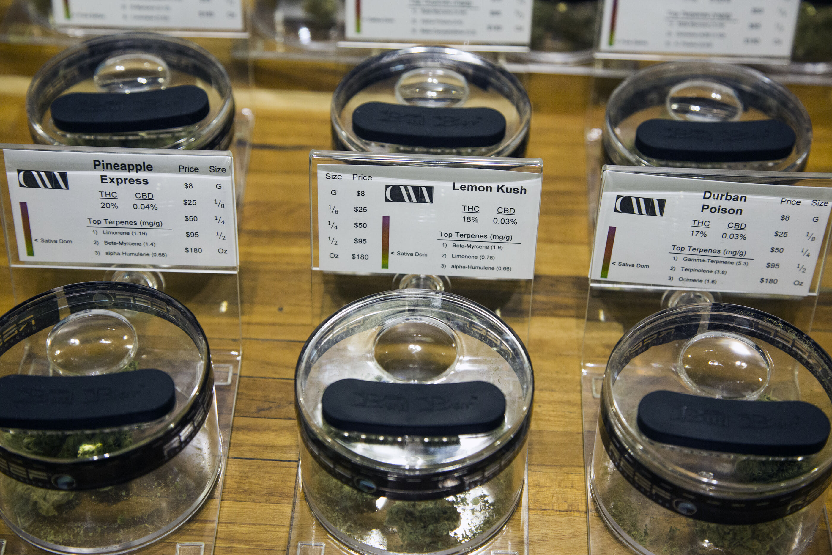 Cannabis strains on display