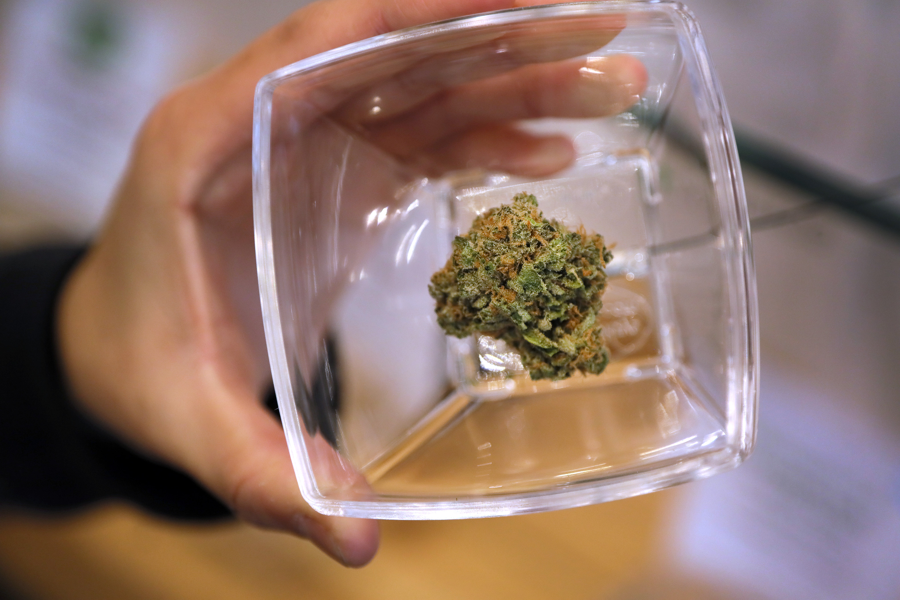 A hand holding a clear jar with marijuana in the bottom