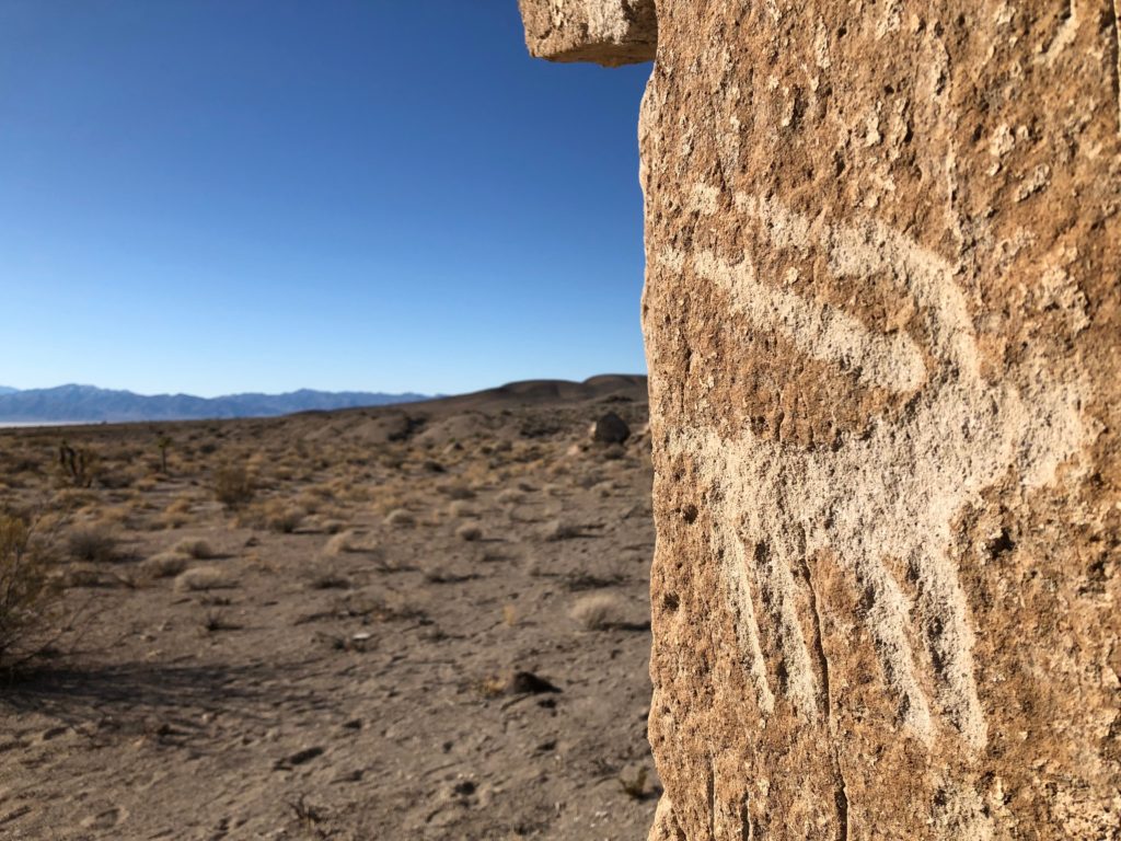 A petroglyph of a bighord sheep