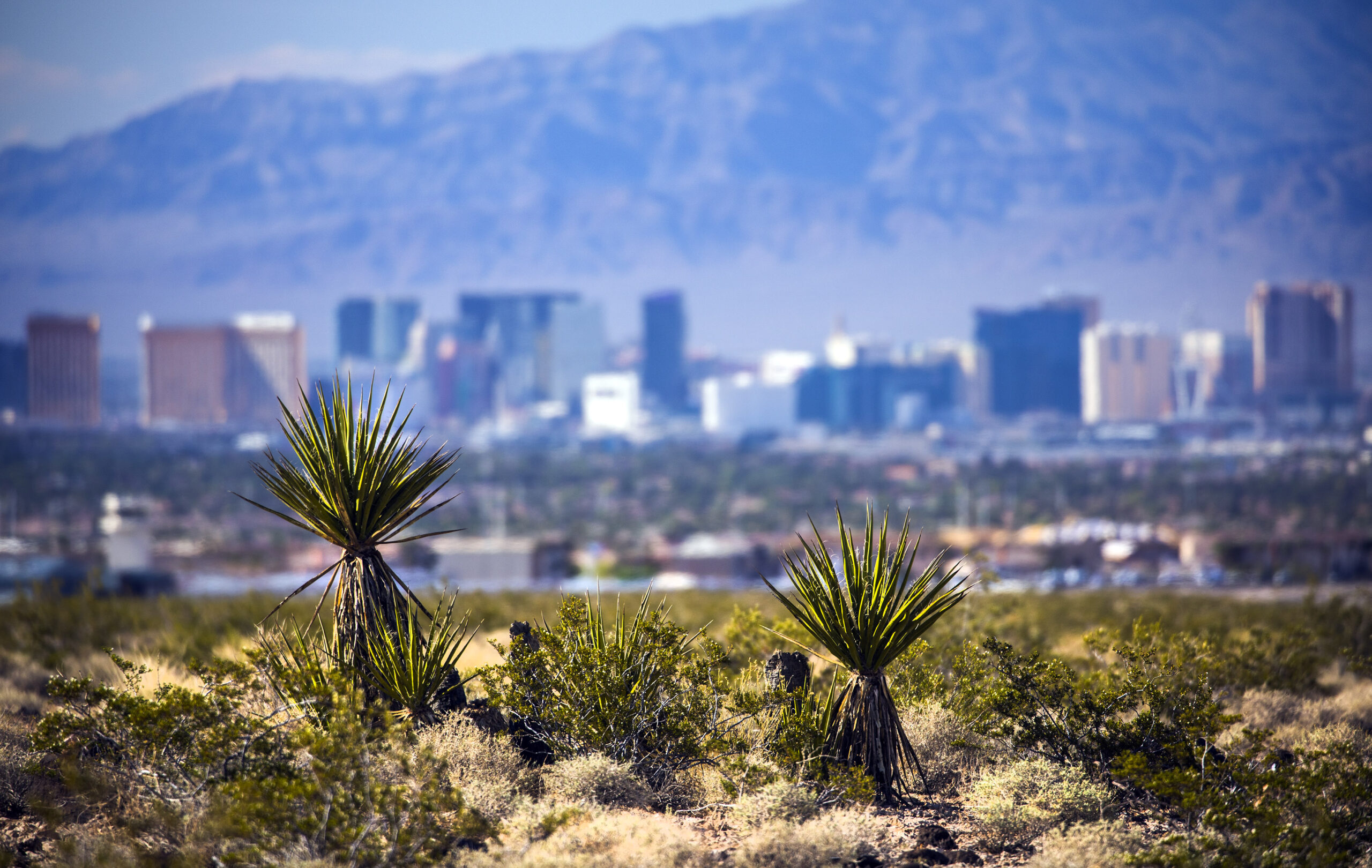 Cortez Masto introduces Clark County lands bill to expand Las Vegas  footprint, designate public land for conservation - The Nevada Independent