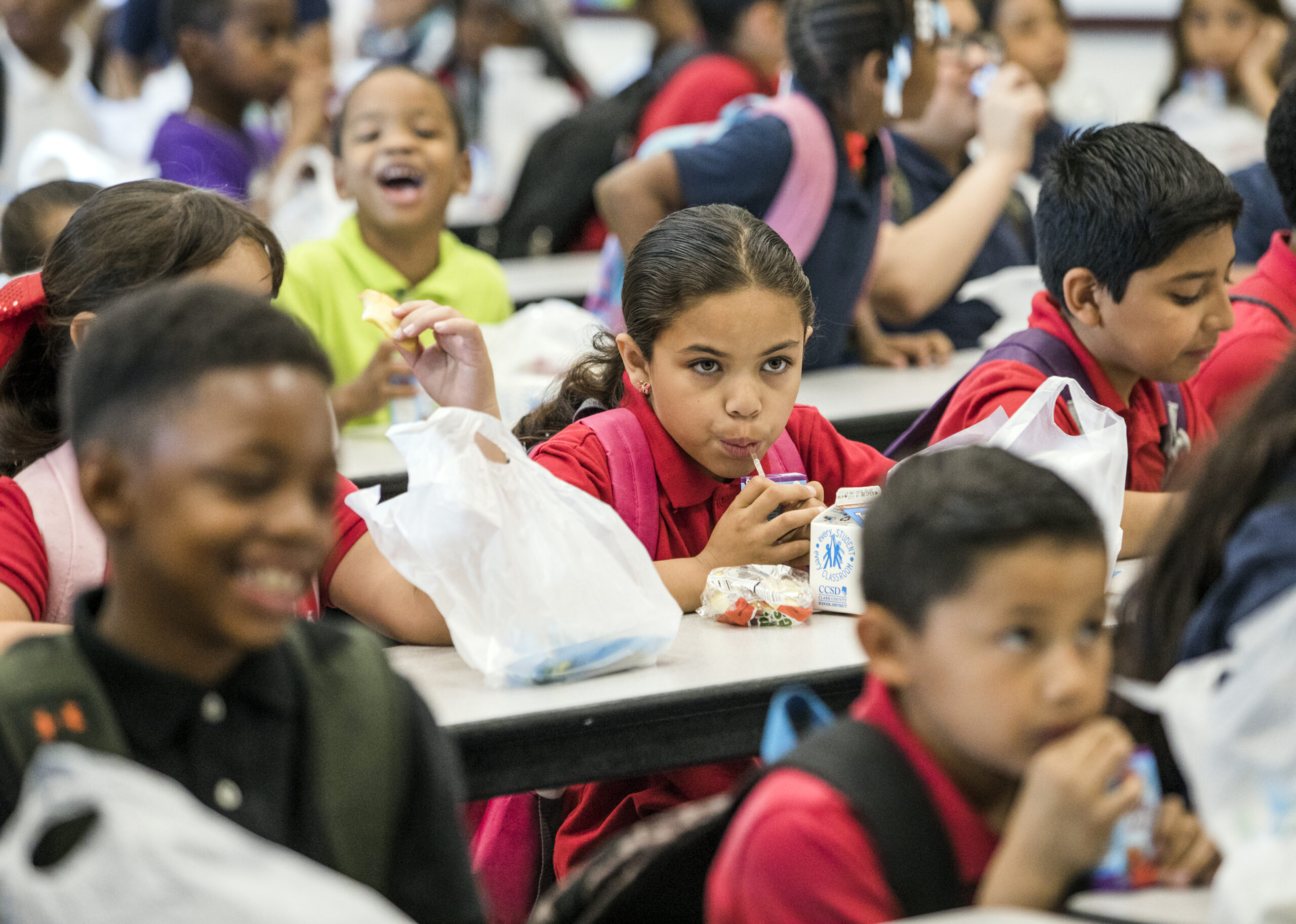 About Nevada School Meals