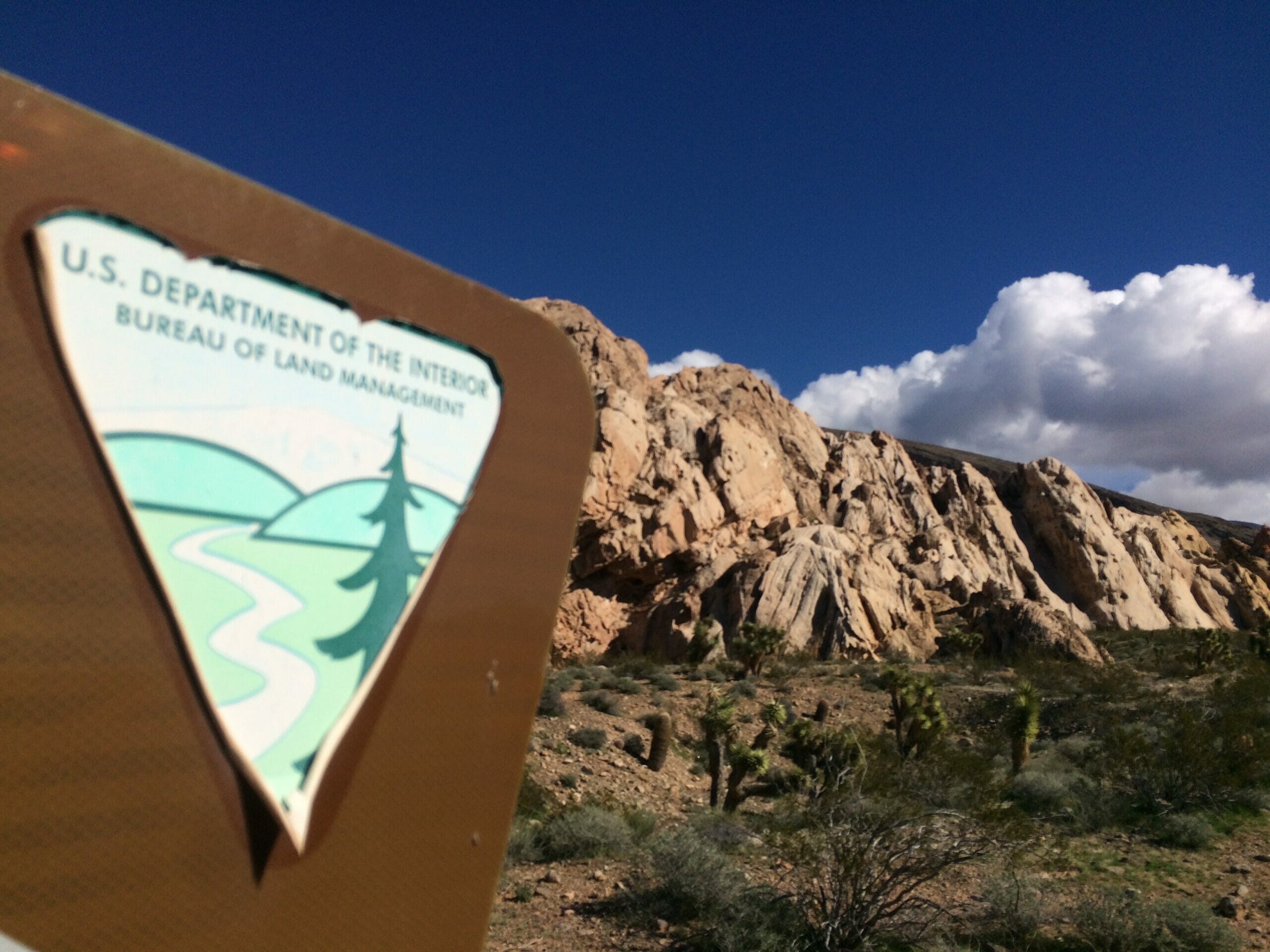 Red Rock Canyon, NV  Bureau of Land Management