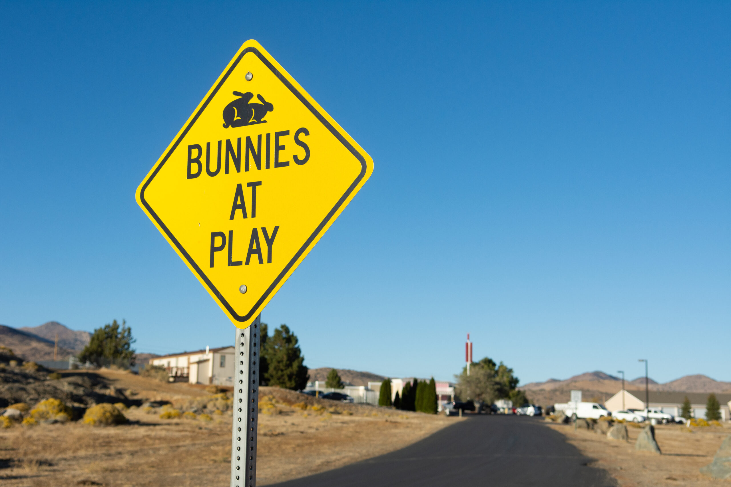 The Moonlite Bunny Ranch in Mound House, Nevada