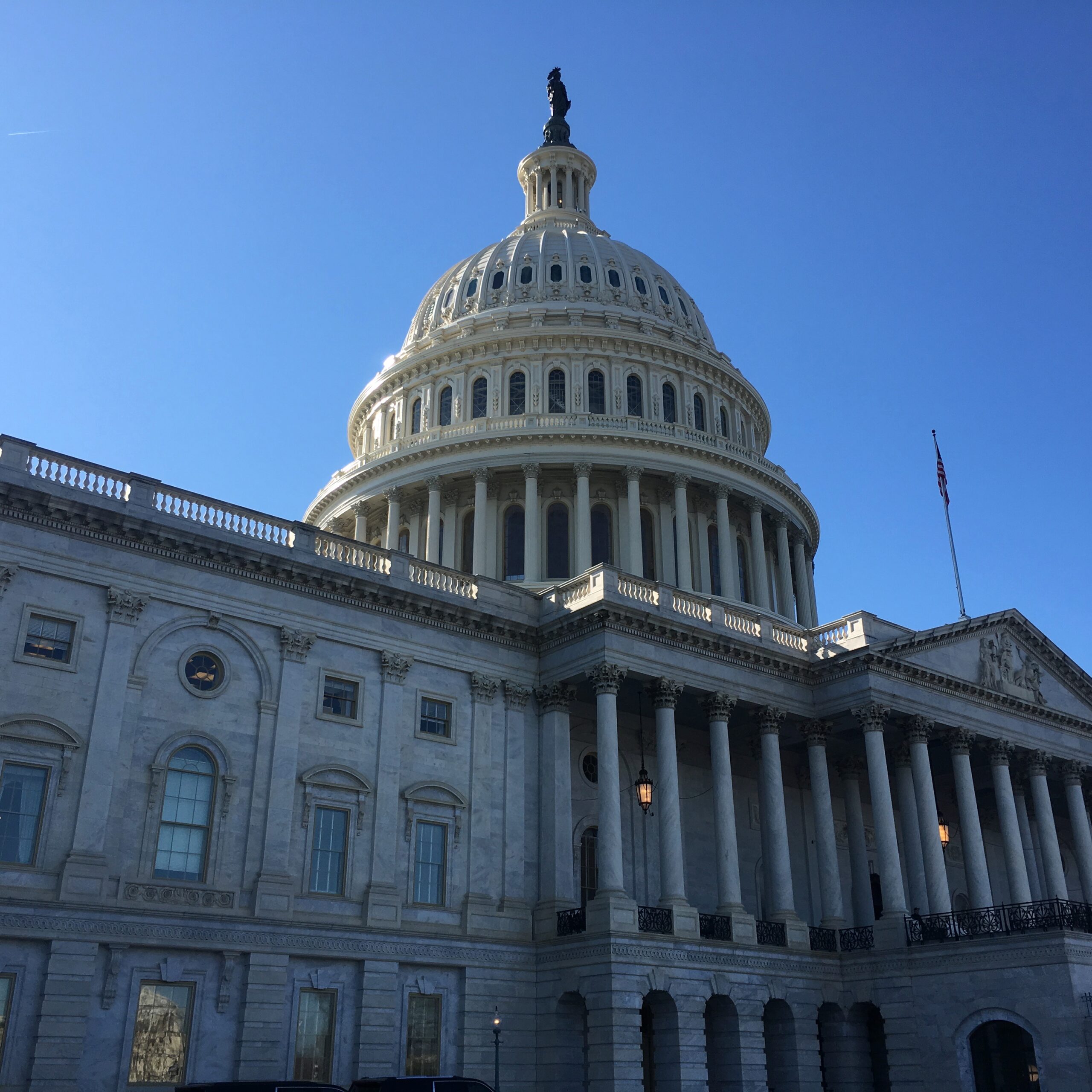 The U.S. Capitol