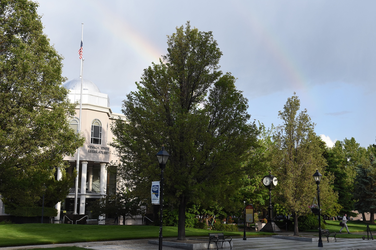 A tree in front and the Nevada Legislature building behind it