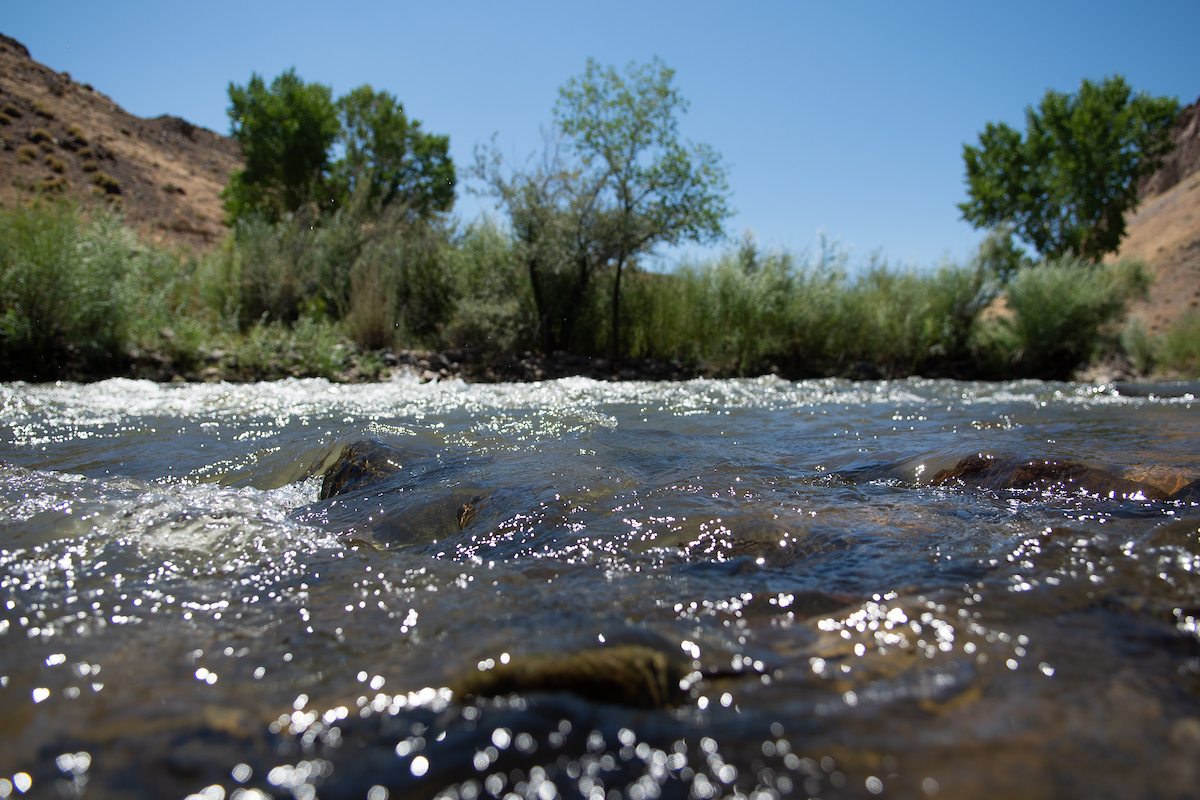 A photo of the Walker River