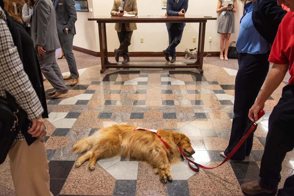 Therapy dog at Legislature