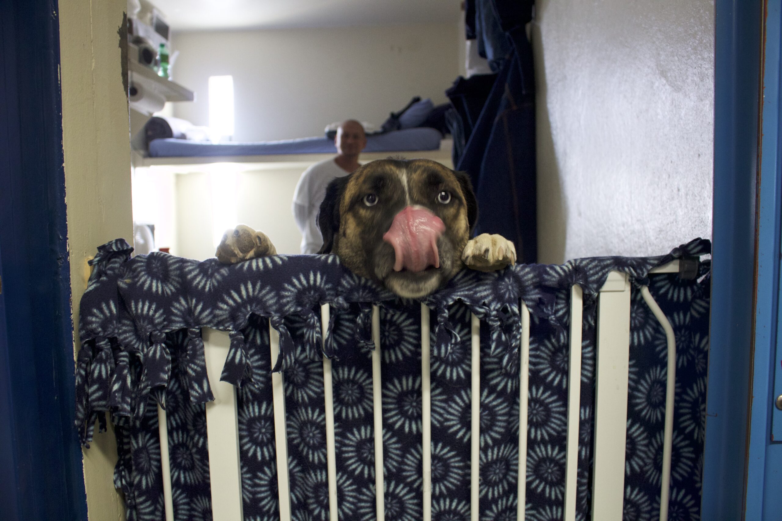 dog in cell with their inmate handler