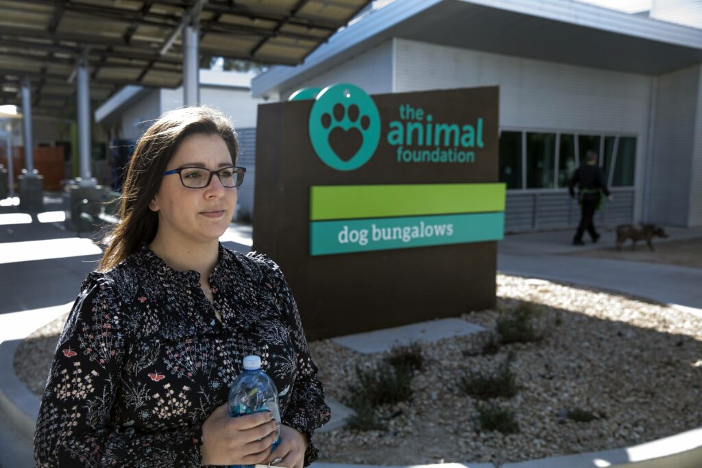 Five years after Las Vegas shelter sets 'zero euthanasia' goal, success is  within sight – The Nevada Independent
