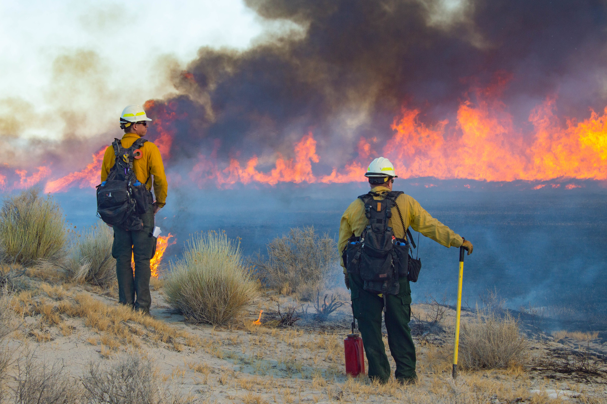 Nevada, the new California - The Nevada Independent