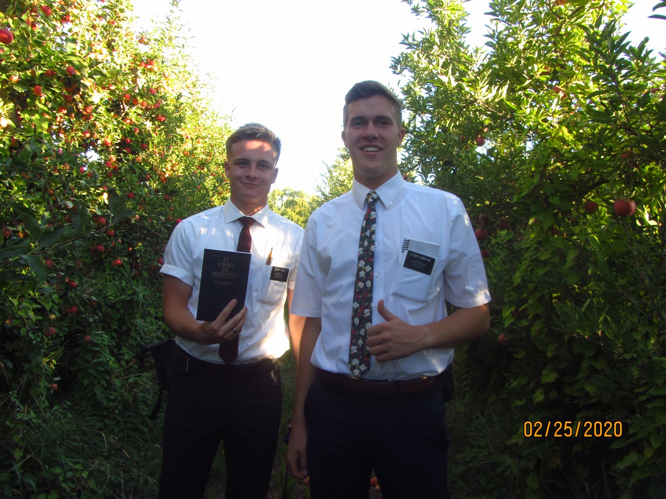 Nevada Interrupted: Vegas LDS missionary made it home, but ...