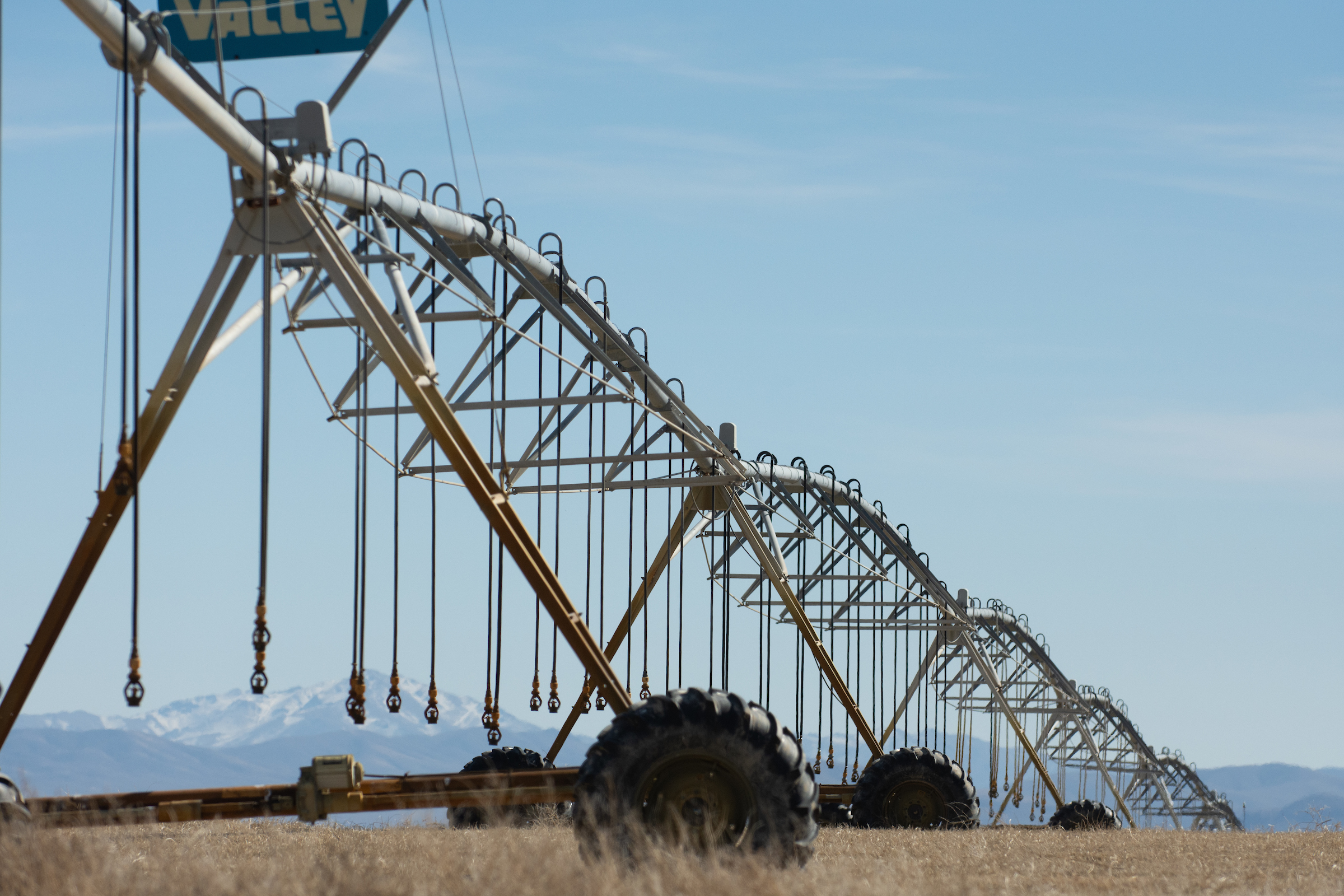 Irrigation pivots on February, 25, 2020. (David Calvert/The Nevada Independent)