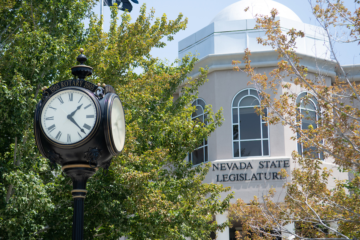 The Legislature on Sunday, Aug. 2, 2020 during the third day of the 32nd Special Session in Carson City.