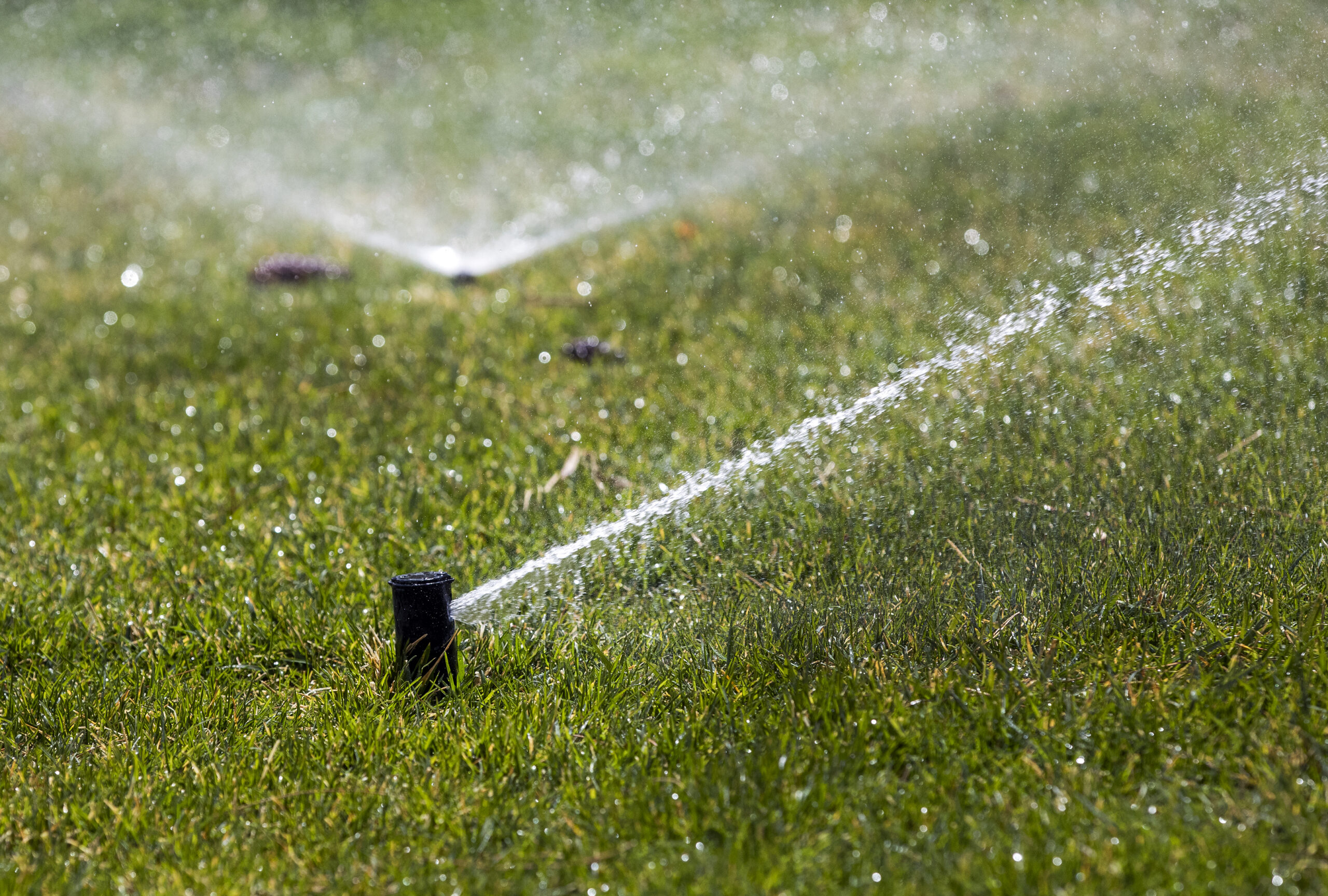 How Las Vegas declared war on grass amid Colorado river crisis