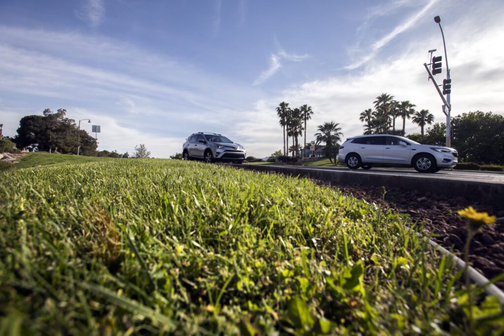 Iconic Bellagio Casino Works Towards Water Conservation - SYNLawn