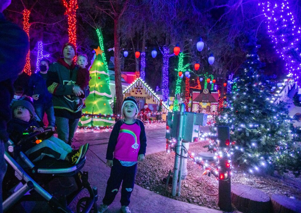 PHOTOS: Magical Forest lights up holiday season in Las Vegas ...