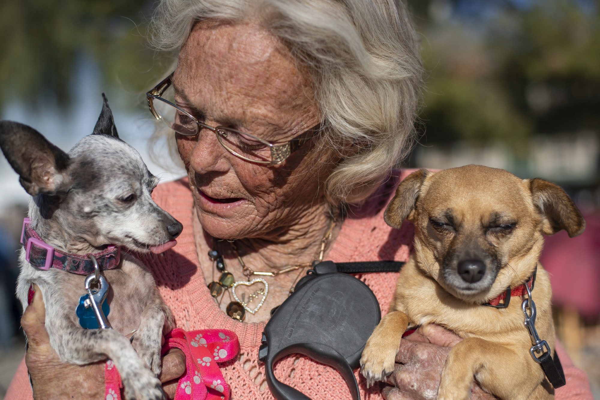 Nearly 1/3 of the US homeless population lives in California. This  veterinarian cares for the pets