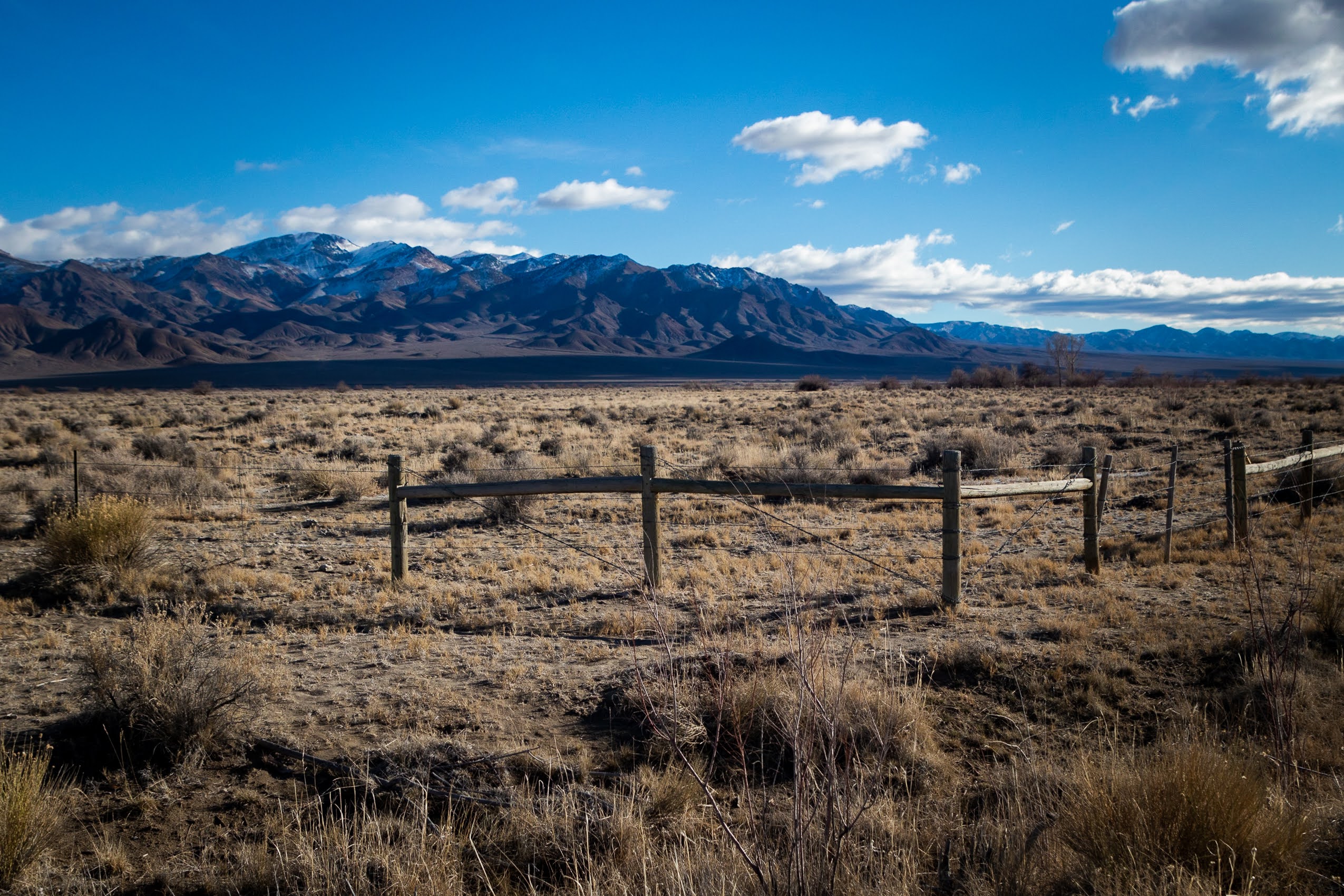 GRASSLANDS COMING (when i'll have enough time for it)] Every known