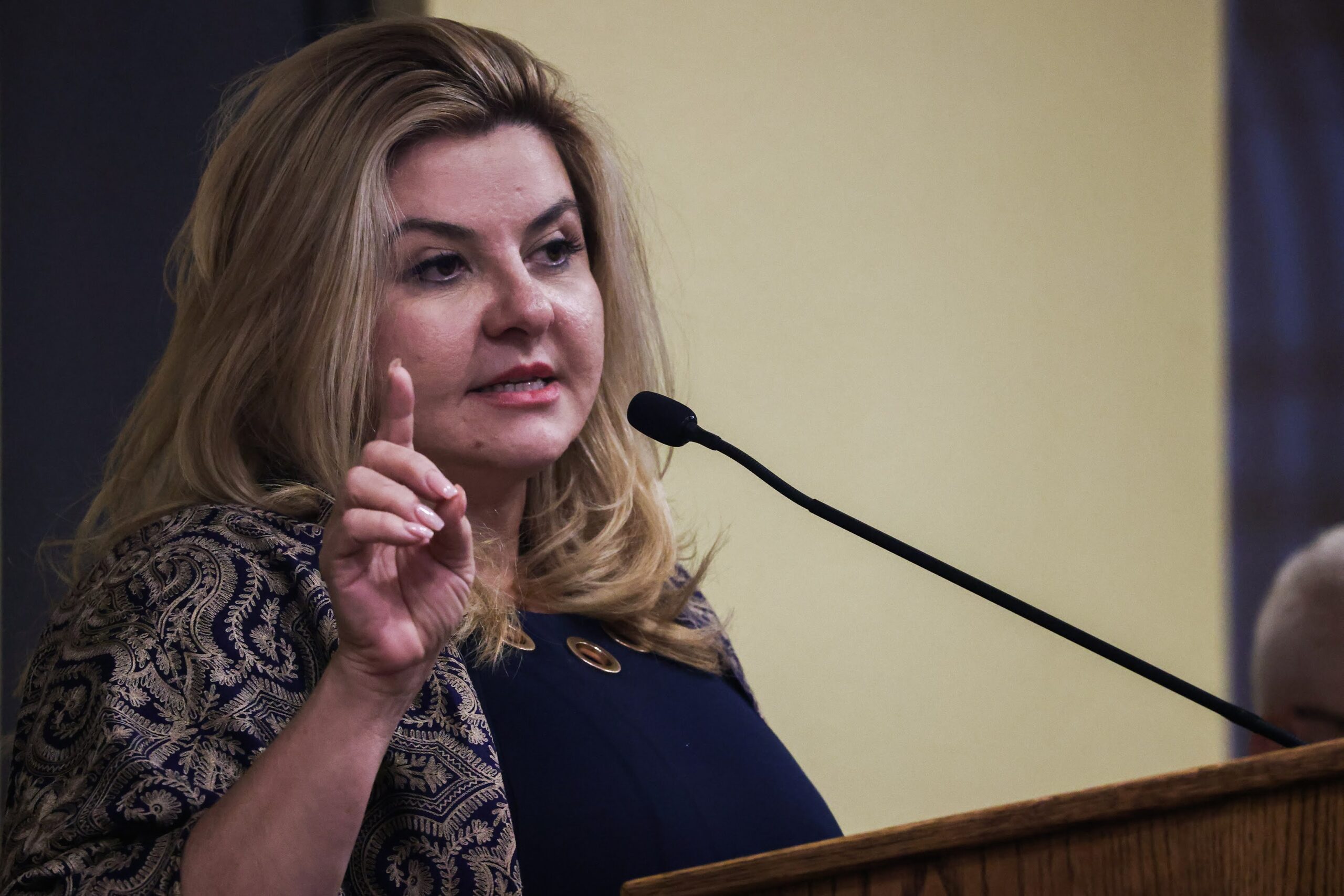 On the Record: Republican treasurer candidate Michele Fiore - The ...