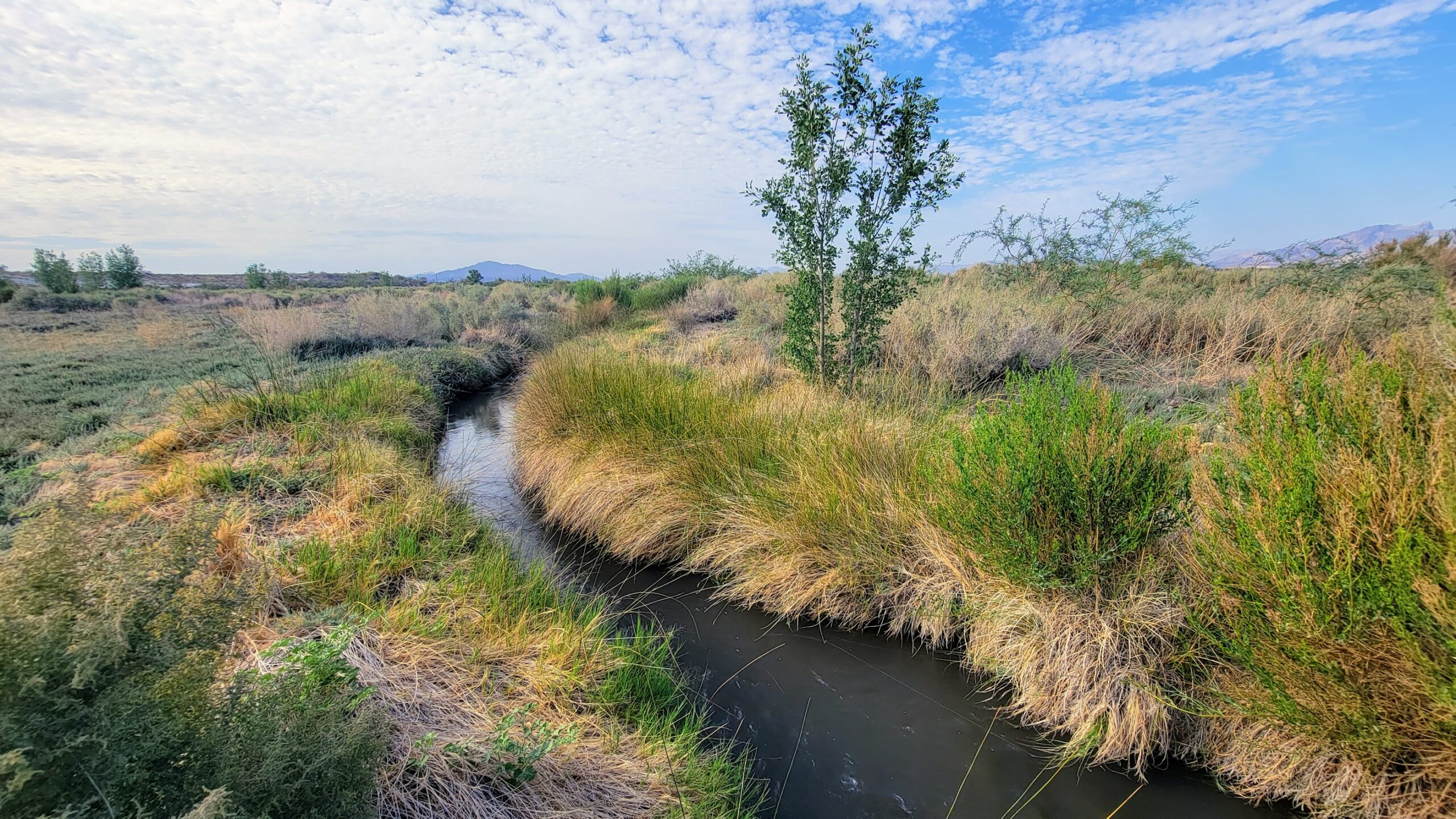 Nevada, the new California - The Nevada Independent