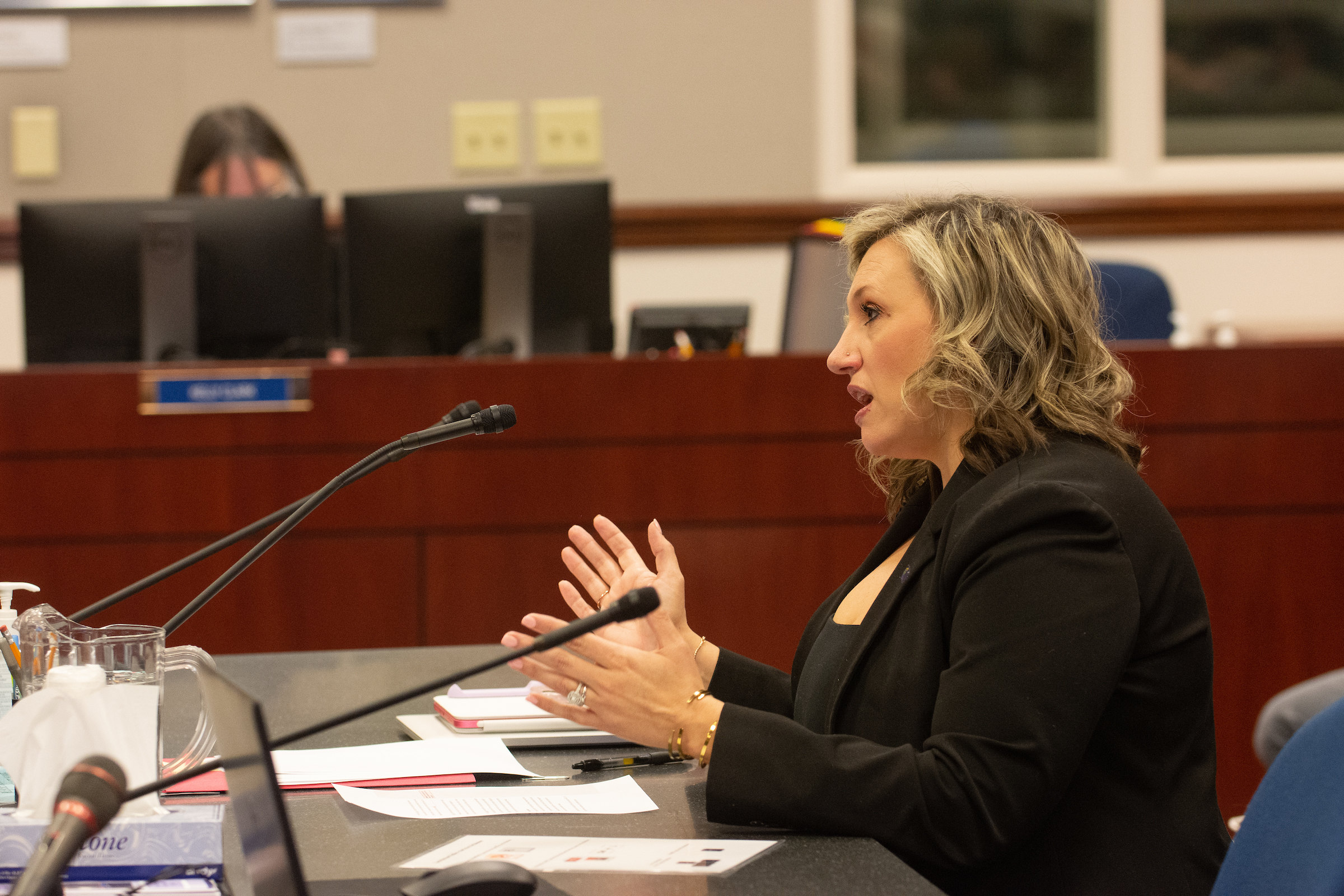 Senate Majority Leader Nicole Cannizzaro gives a presentation during a Senate Commerce and Labor meeting of the 82nd legislative session on Monday, Feb. 20, 2023 in Carson City.