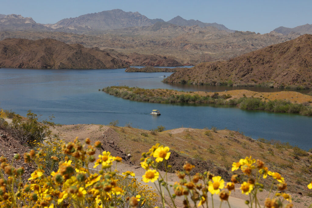 People recreate on Colorado River-fed Lake Mojave near Katherine Landing, just north of Laughlin, on Saturday, April 15, 2023. (Ronda Churchill/The Nevada Independent).