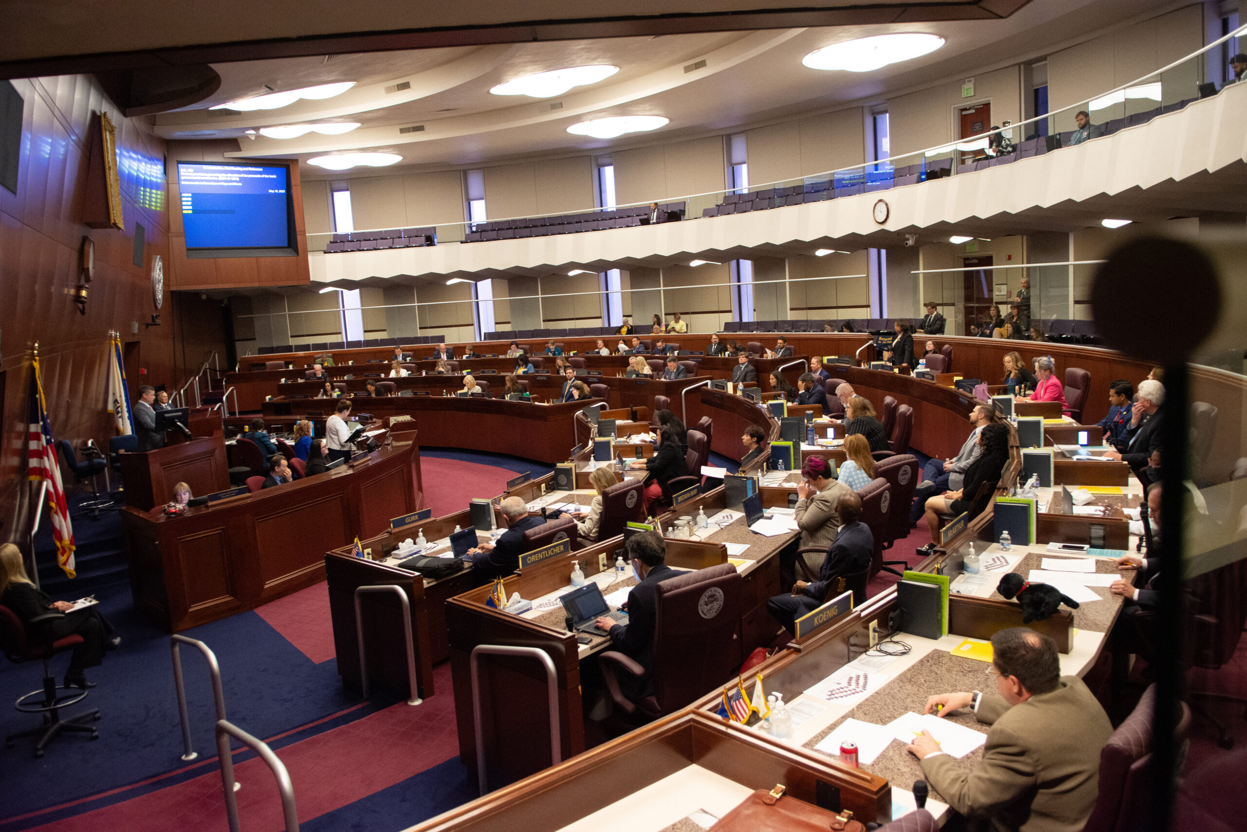 The Assembly during a floor session inside the Legislature in Carson City on Tuesday, May 16, 2023. (David Calvert/The Nevada Independent)