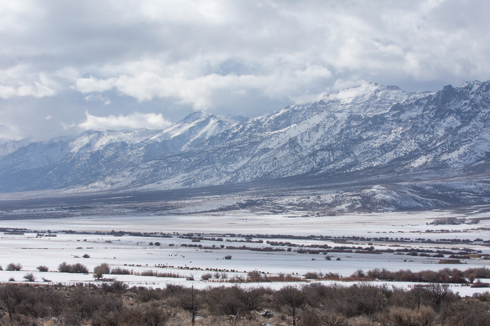 Humboldt Peak range seen from Secret Pass near Elko on Dec. 12, 2021.