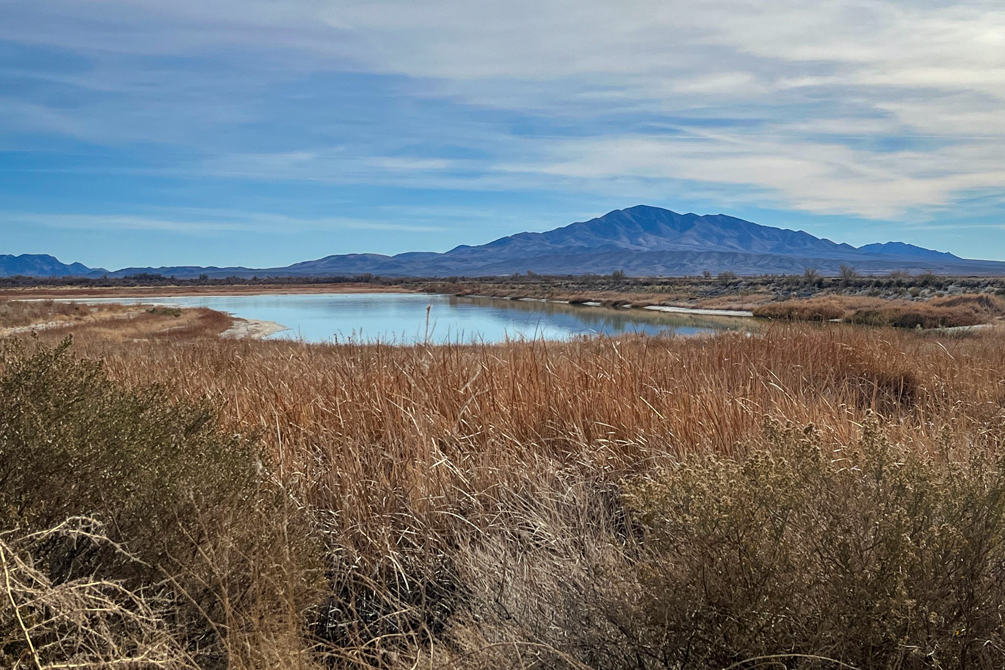OPINION: They want to change the definition of ‘water.’ That's catastrophic for Nevada.